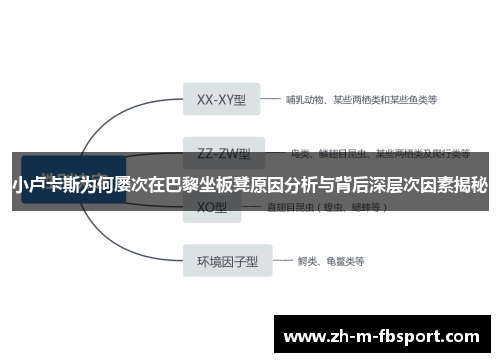 小卢卡斯为何屡次在巴黎坐板凳原因分析与背后深层次因素揭秘 小卢卡斯为何屡次在巴黎坐板凳原因分析与背后深层次因素揭秘