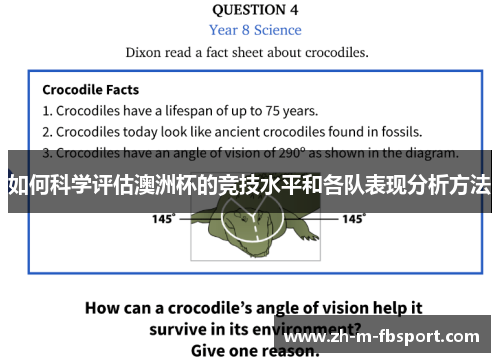 如何科学评估澳洲杯的竞技水平和各队表现分析方法