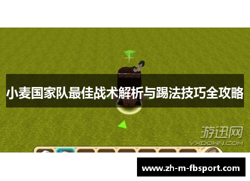 小麦国家队最佳战术解析与踢法技巧全攻略 小麦国家队最佳战术解析与踢法技巧全攻略