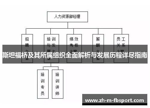 斯坦福桥及其所属组织全面解析与发展历程详尽指南