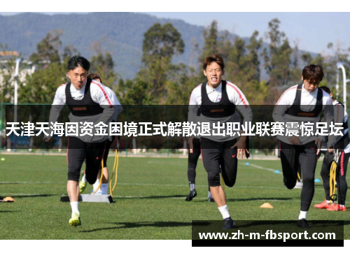 天津天海因资金困境正式解散退出职业联赛震惊足坛 天津天海因资金困境正式解散退出职业联赛震惊足坛